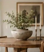 Living Oak on Instagram
